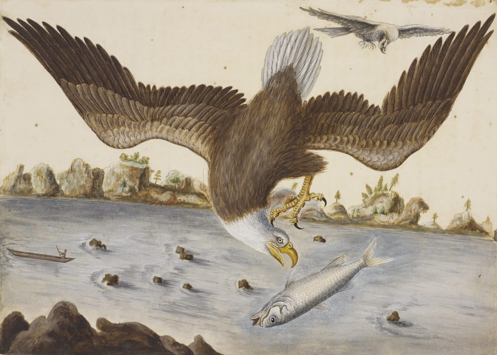 Becoming America at the Science Museum: free show opens 23 October